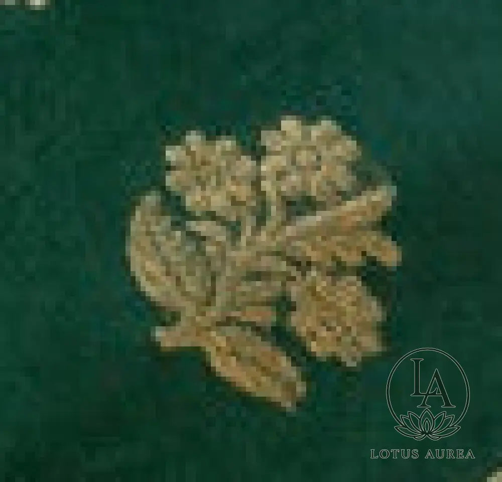 Emerald Green Chanderi silk saree - Chanderi Silk Sarees